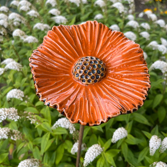 Blomst, orange