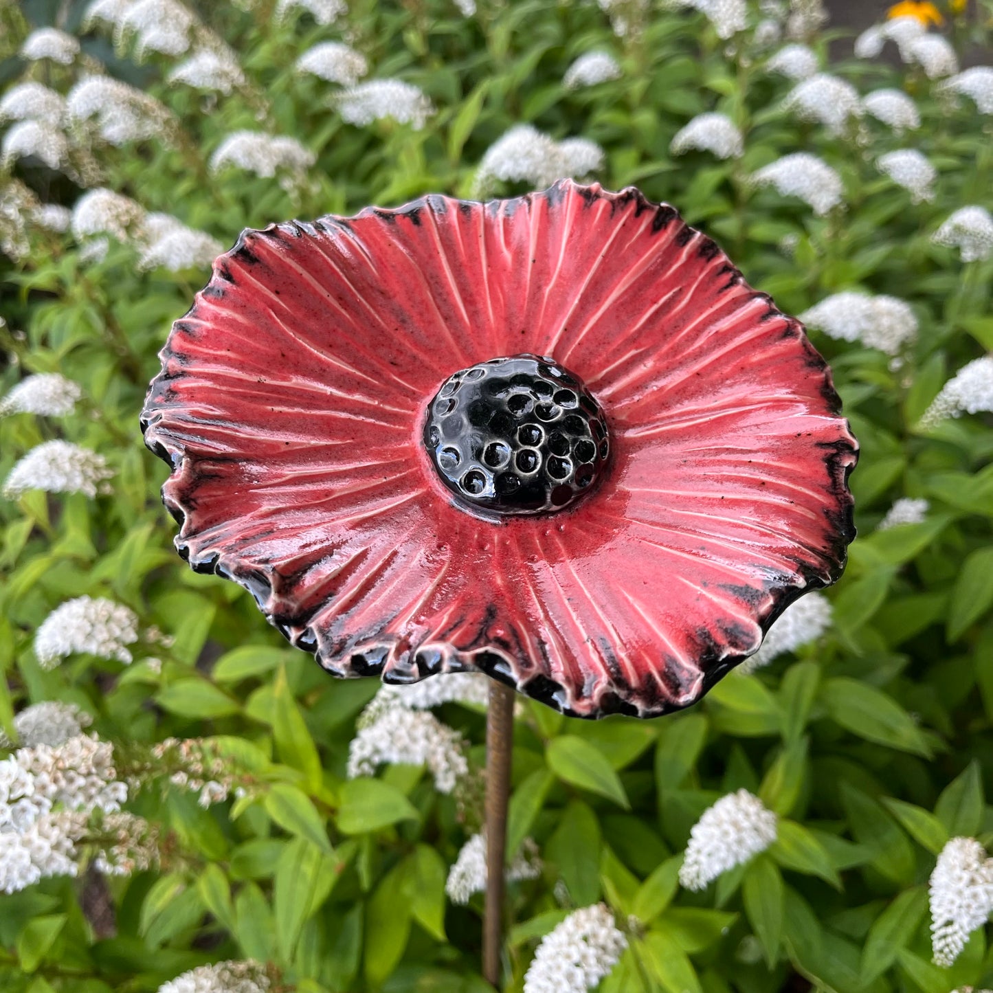 Blomst, rød