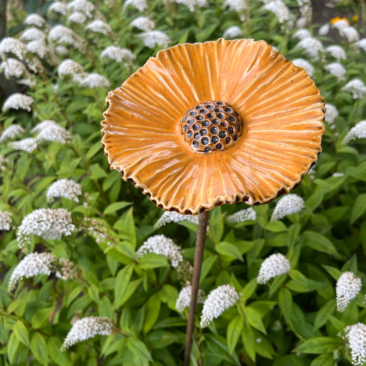 Blomst, lys orange