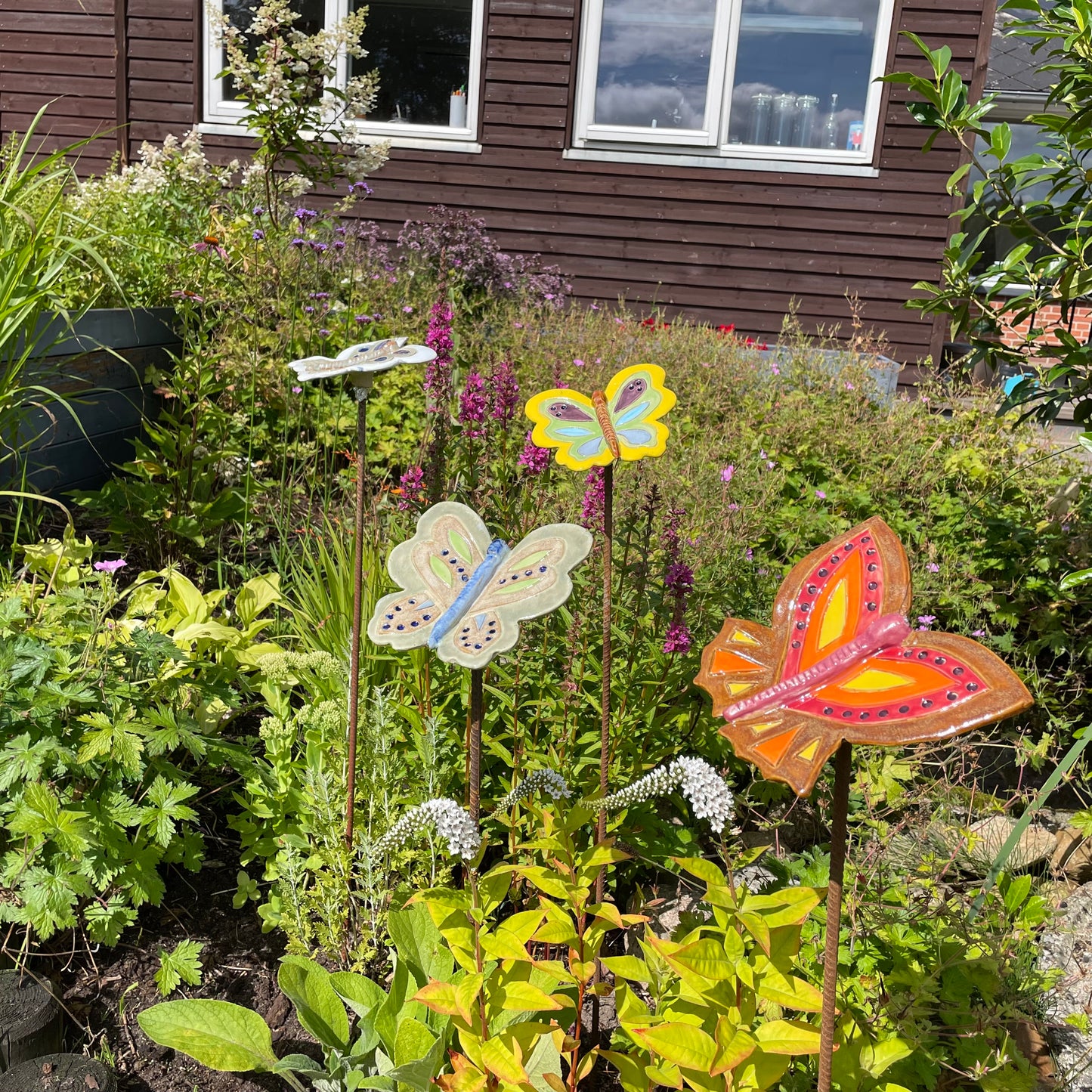 🦋 Sommerfugle