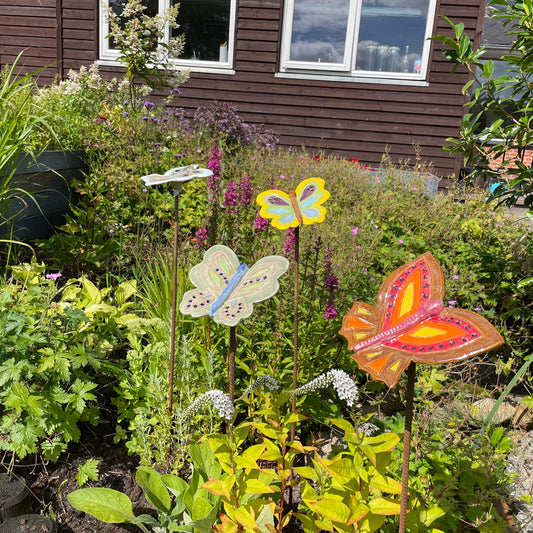 🦋 Sommerfugle