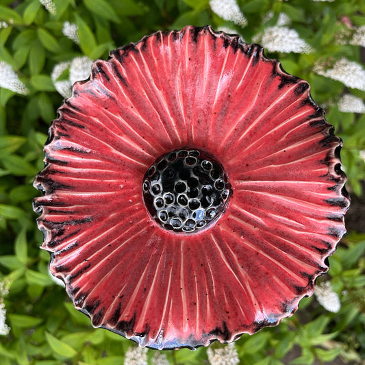 Blomst, rød
