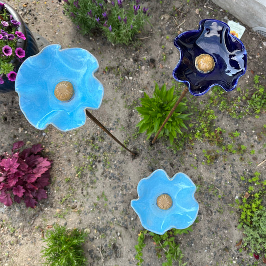 Blomst, valmue blå